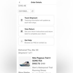 Nike Pegasus Trail 4 GORE-TEX Blue and White